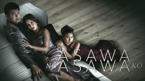 Asawa ng Asawa Ko