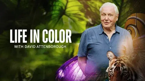 Attenborough's Life in Colour