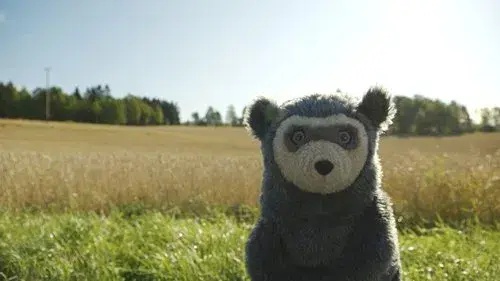 Brillebjørn