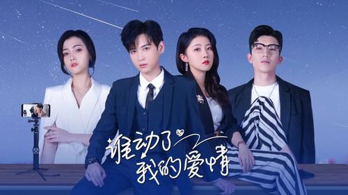 谁动了我的爱情