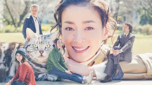 グーグーだって猫である