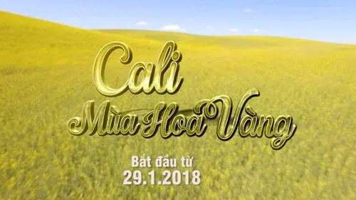 Cali mùa hoa vàng