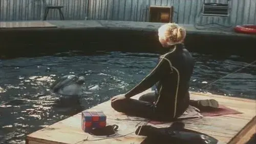 Люди и дельфины