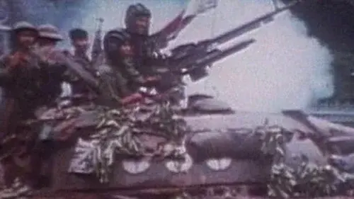 Viêt-nam, la première guerre. 2ème partie : Le tigre et l'éléphant