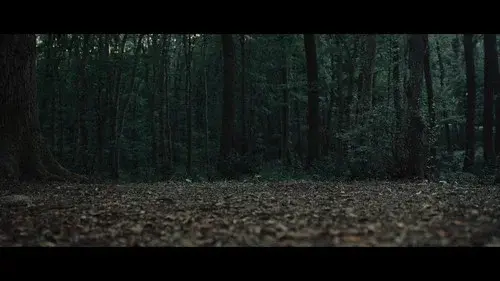 Truffle