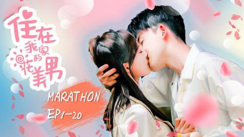 住在我家的花美男