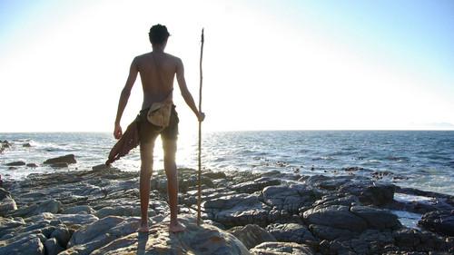 Aux origines de l'humanité