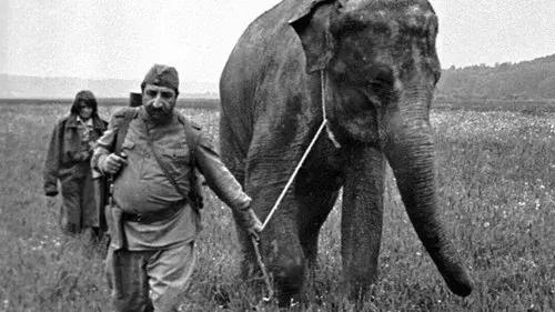 The Soldier and the Elephant