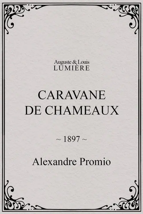Caravane de chameaux