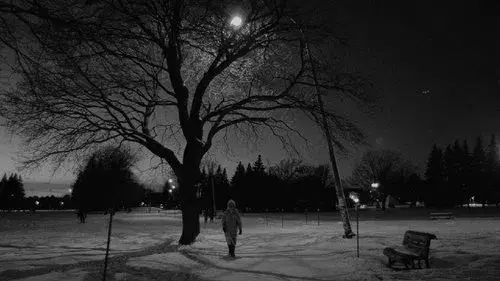 Les flocons de la fin du monde