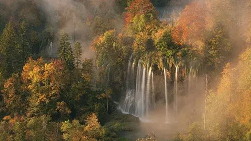 Wild Europe