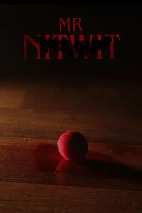 Mr Nitwit