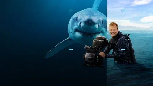 Sharks Up Close with Bertie Gregory