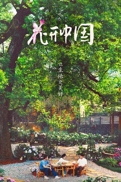花开中国