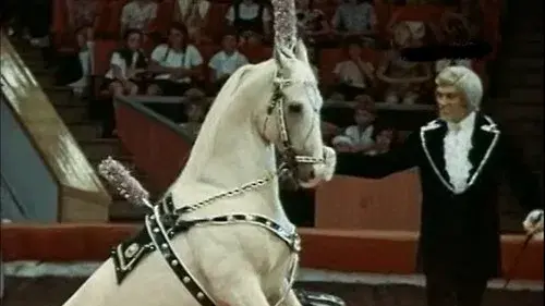 Дрессировщики