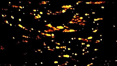 Five Camera Rehearsals of a Solstice