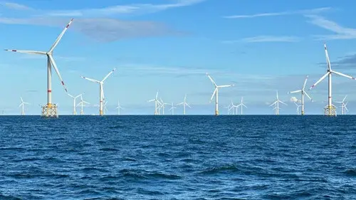 Windparks im Meer - Chance oder Risiko für die Natur?