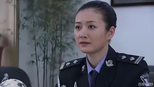 警中警