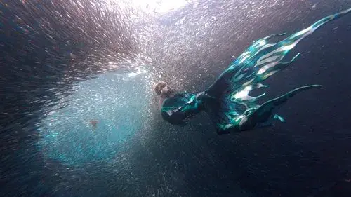 A Drop in the Ocean