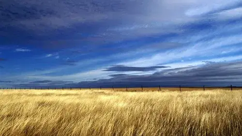 Sekoe: My Home