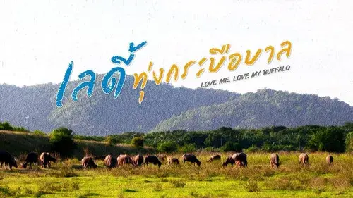 ลดี้ทุ่งกระบือบาล