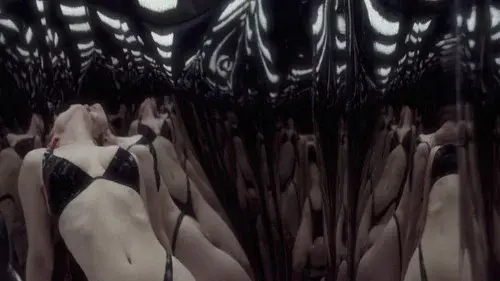 Echo Chamber