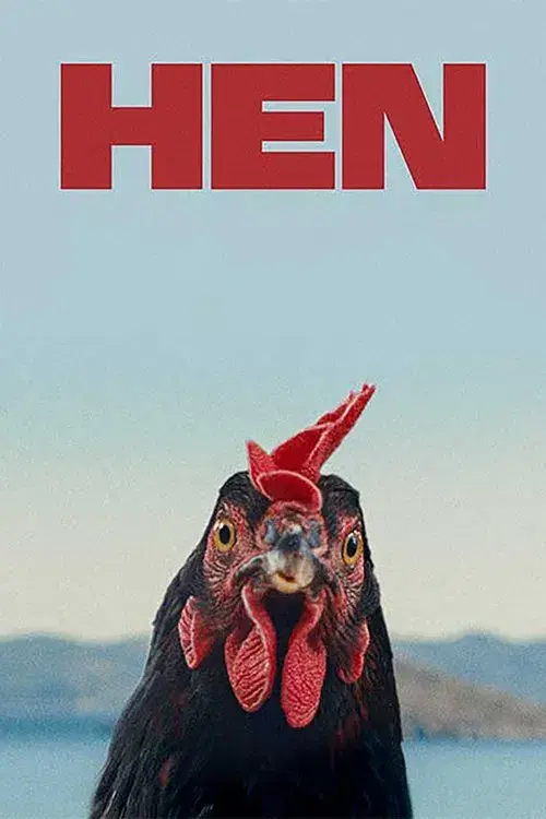 Κότα