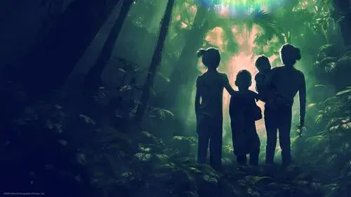 Lost in the Jungle