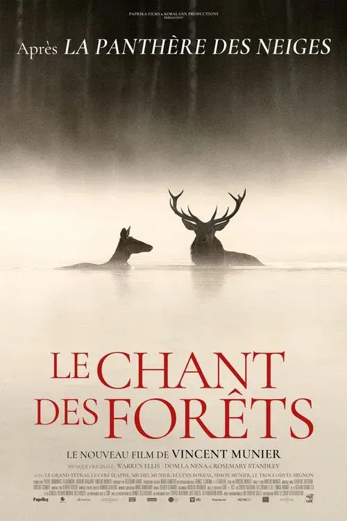 Le chant des forêts