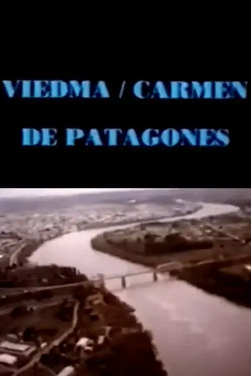 Viedma hoy