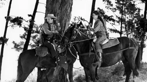 Cyclone on Horseback