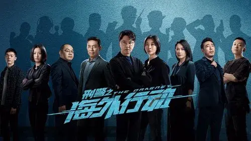 刑警之海外行动