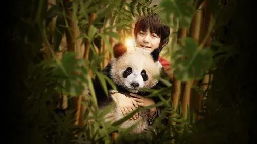 Moon The Panda