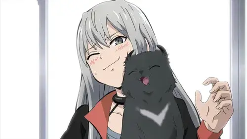 カワイスギクライシス