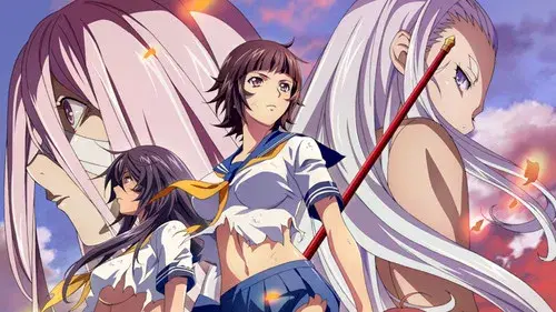 一騎当千 Western Wolves