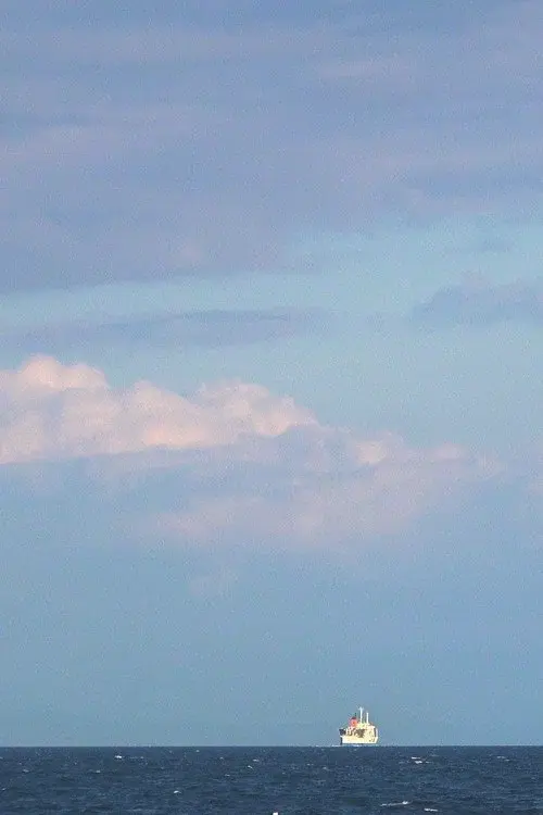 수국