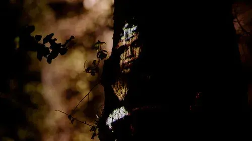 La búsqueda del otro