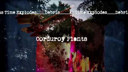 Corduroy Plants