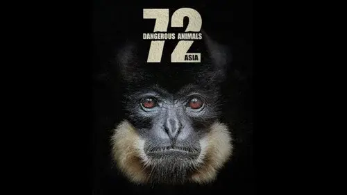 72 Dangerous Animals: Asia