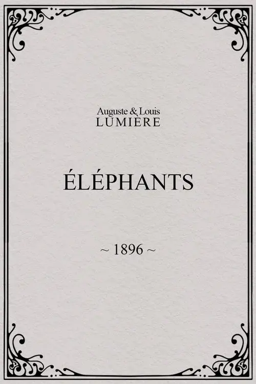 Elephants