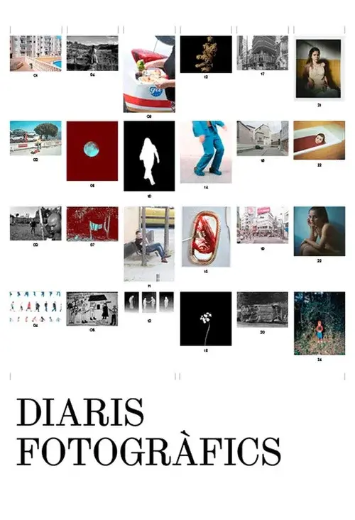 Diaris fotogràfics