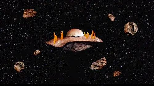 Empire fongique