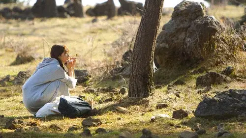숲속의 작은 집