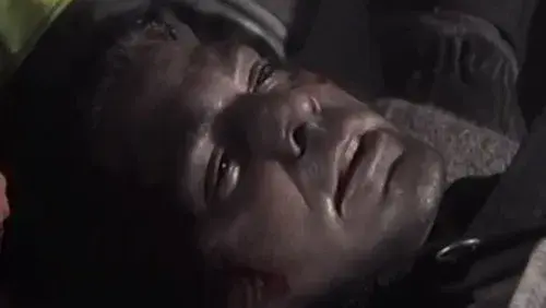 Without Warning: Terror in the Towers