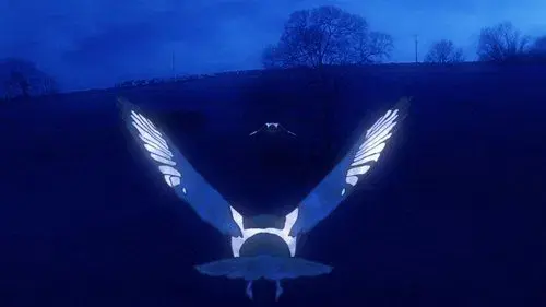 Memories of a Magpie