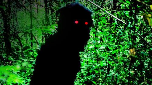 Uncle Boonmee Who Can Recall His Past Lives