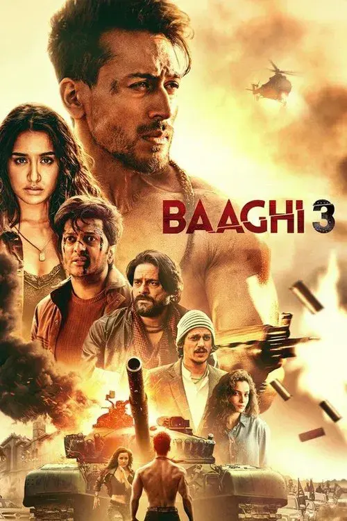 बाघी ३