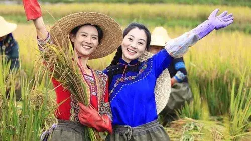 Terrace Sisters