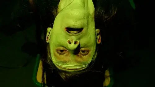 Frankenstein Created Robyn