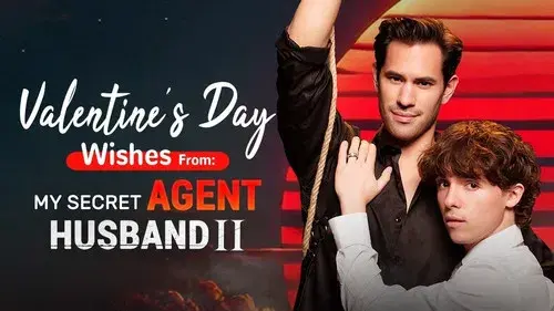 My Secret Agent Husband